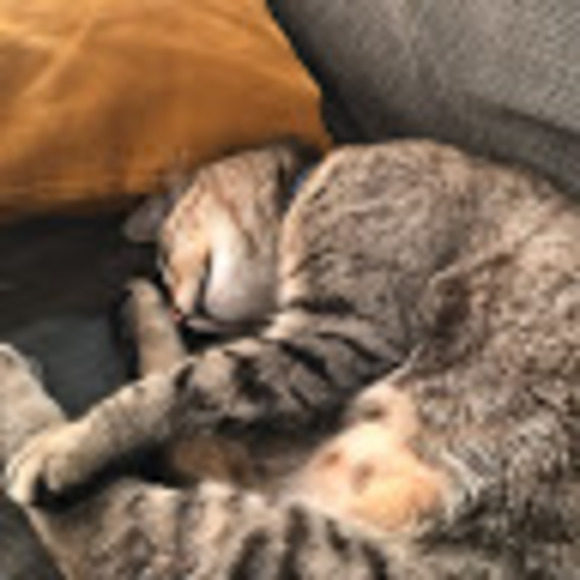 Meet your Posher, Stefan - Picture 1 of 1